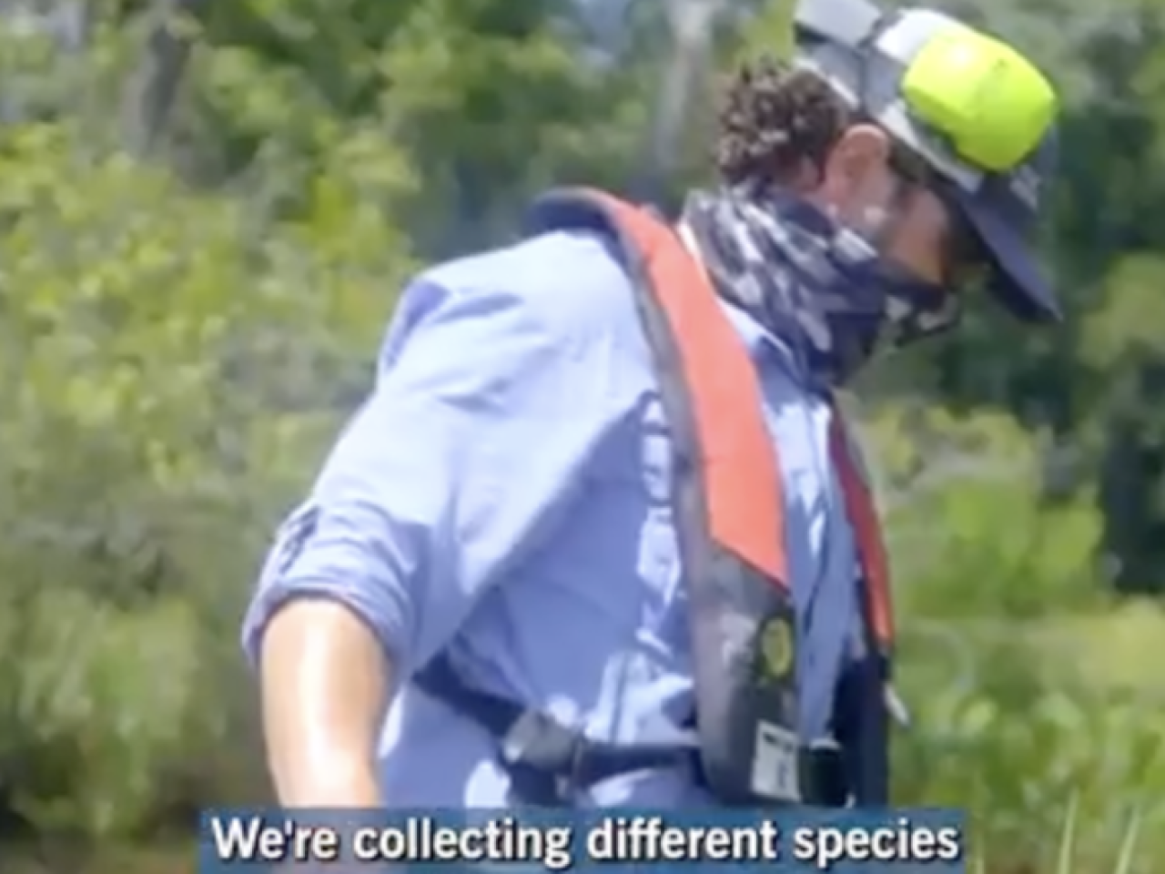 Worker collecting data on river
