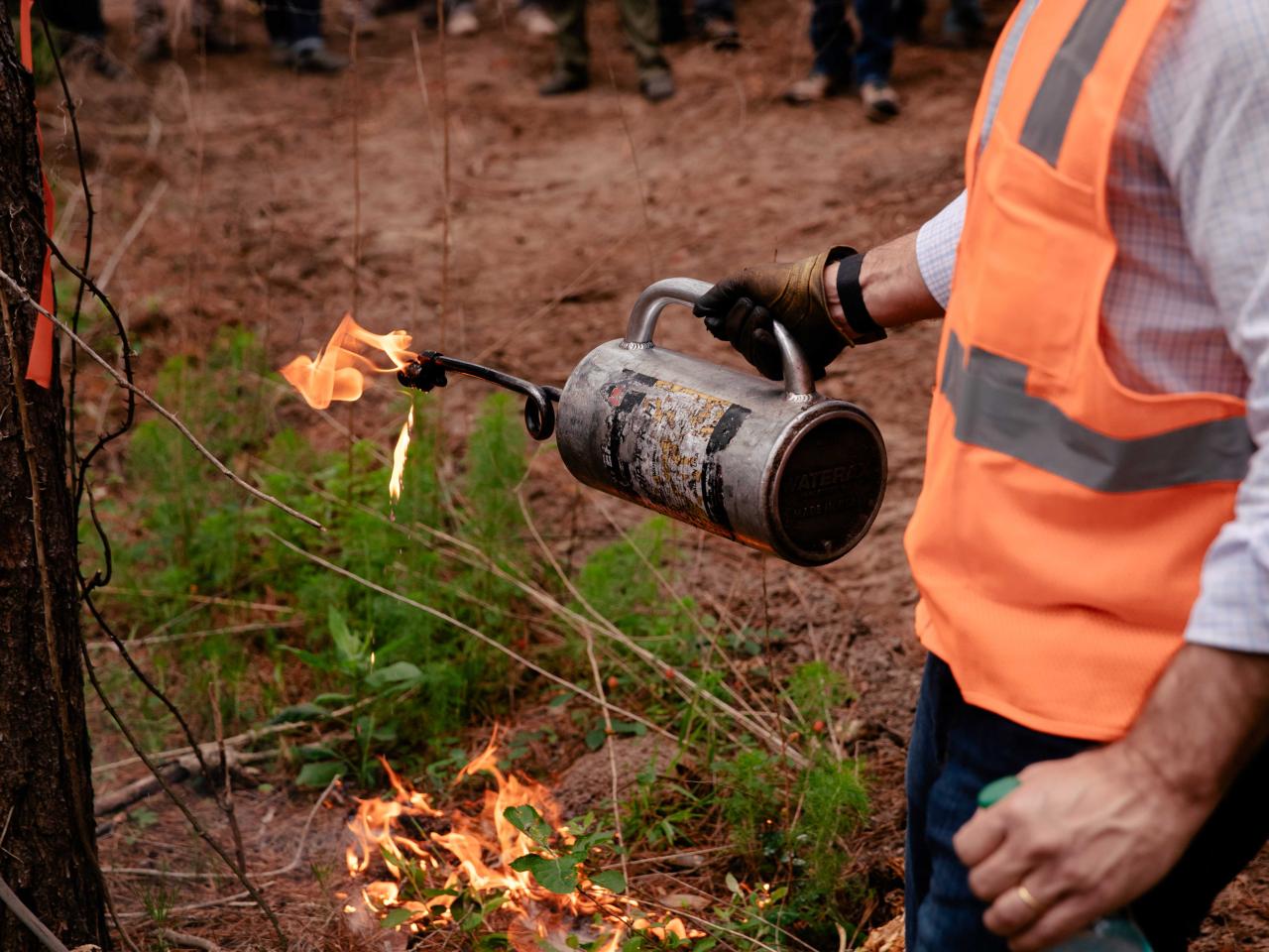 According to the newly released 2024 Sustainability Report on TIG’s core North America portfolio, more than 8,000 acres of Caddo Sustainable Timberlands  – TIG’s platform company in Texas – have been treated with prescribed fire, doubling the original target and demonstrating both commitment and scalability.