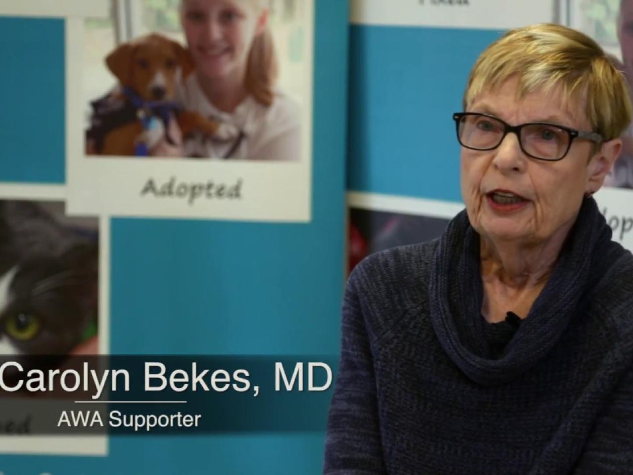 Dr. Carolyn Bekes, MD - AWA Supporter