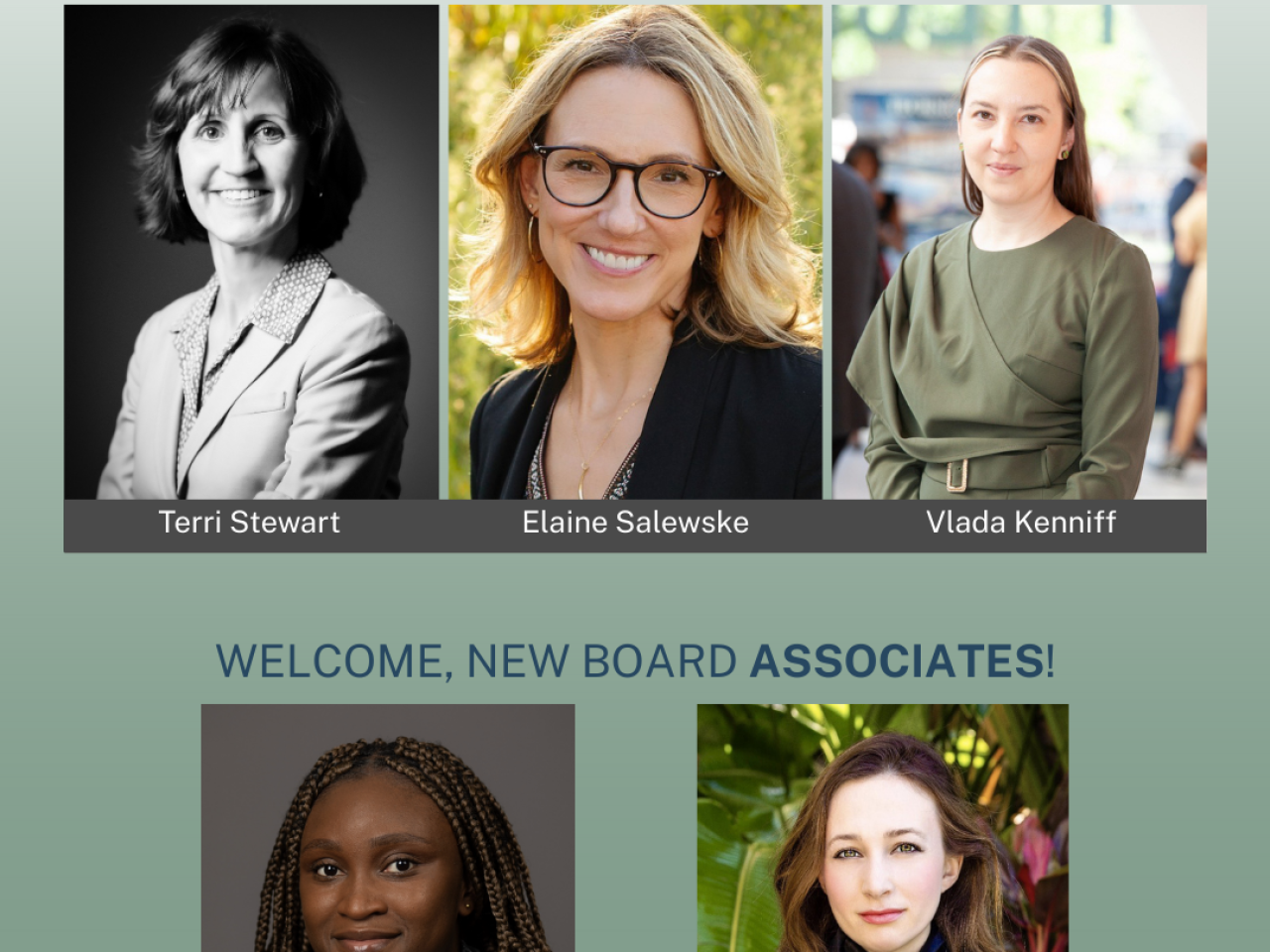 headshots of the new WSLA board members