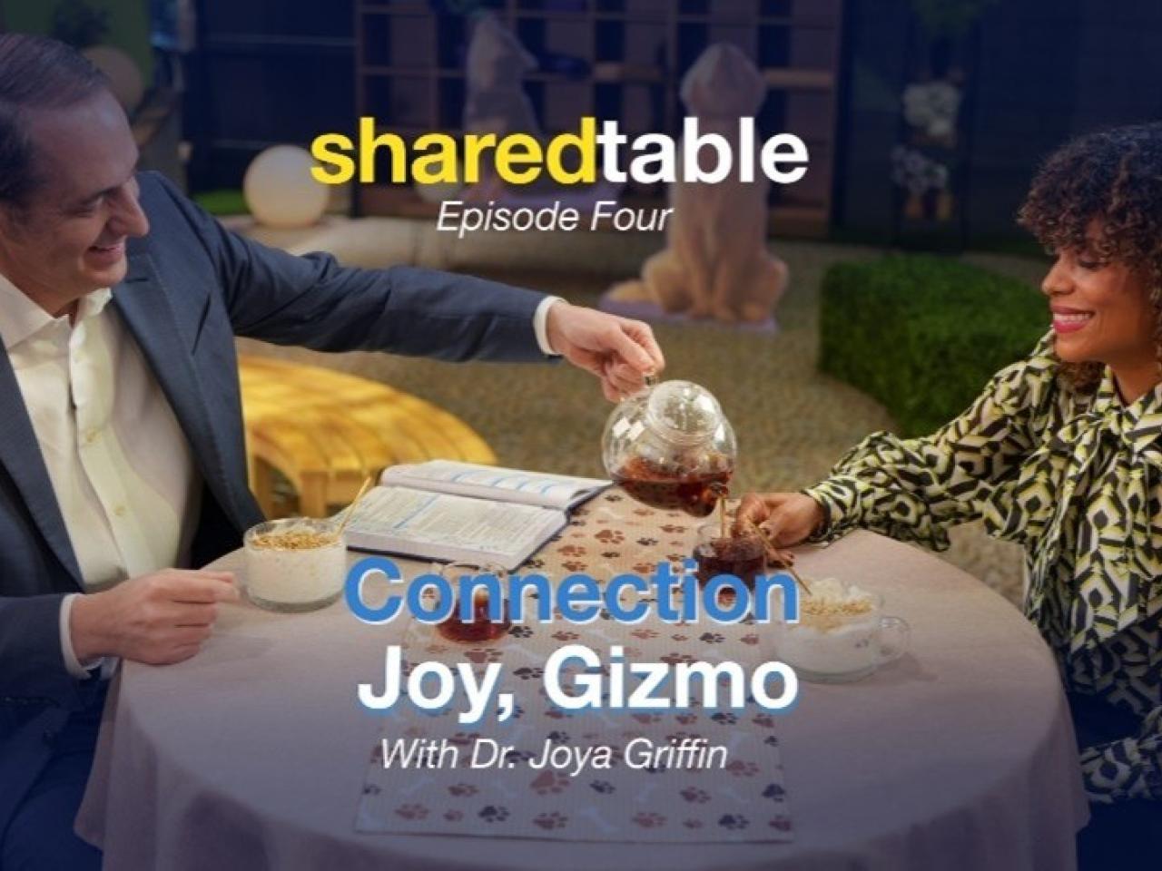 sharedtable, Episode Four, Connection, Joy, Gizmo, With Dr. Joy Griffin