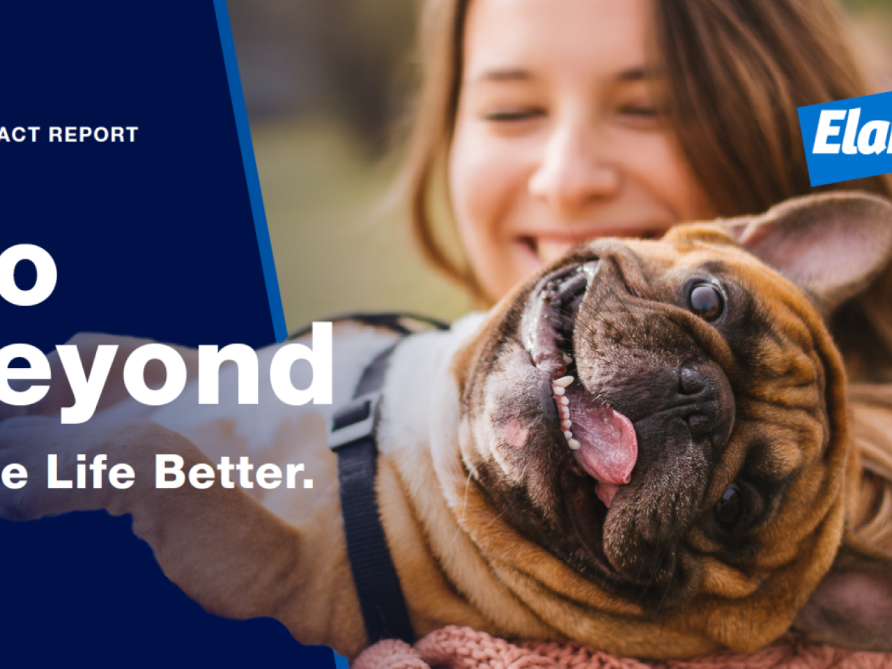 Report cover with woman holding a dog