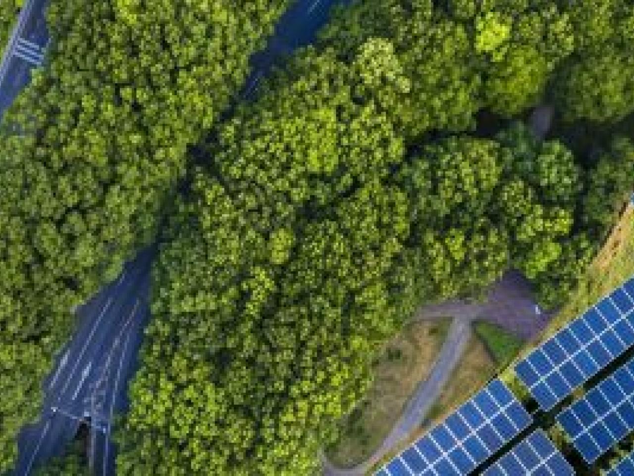 Solar panels from a bird's eye view