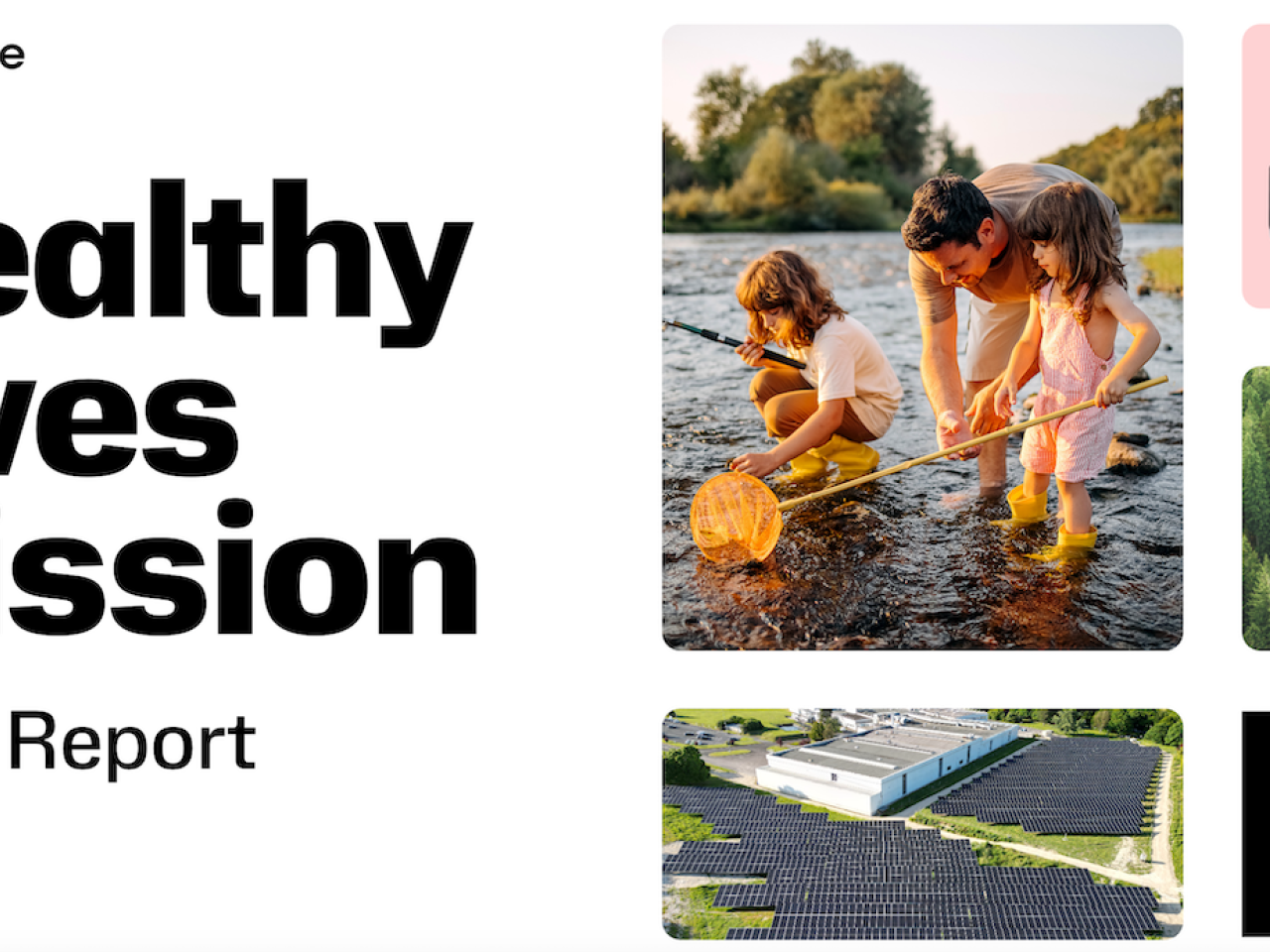 Healthy Lives Mission 2024 Report