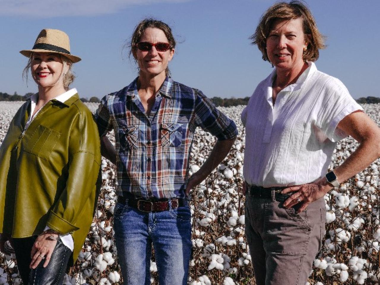 Three people posed in a field of cotton crops.