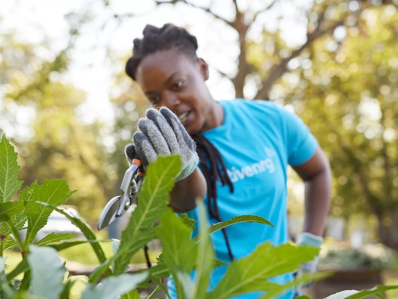 A person wearing gloves is shown trimming a plant.