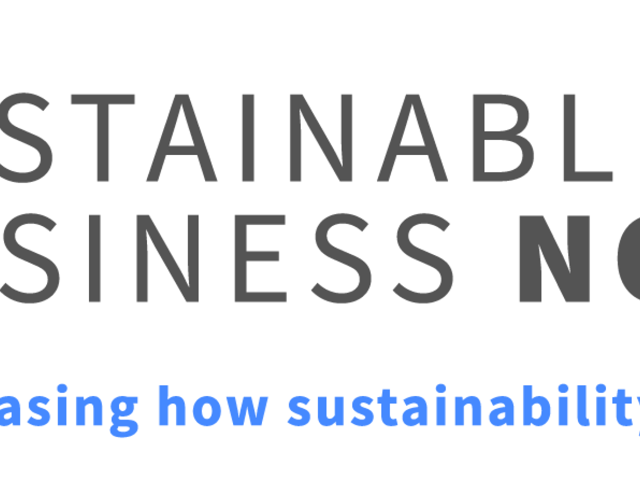 Sustainable Business Now logo