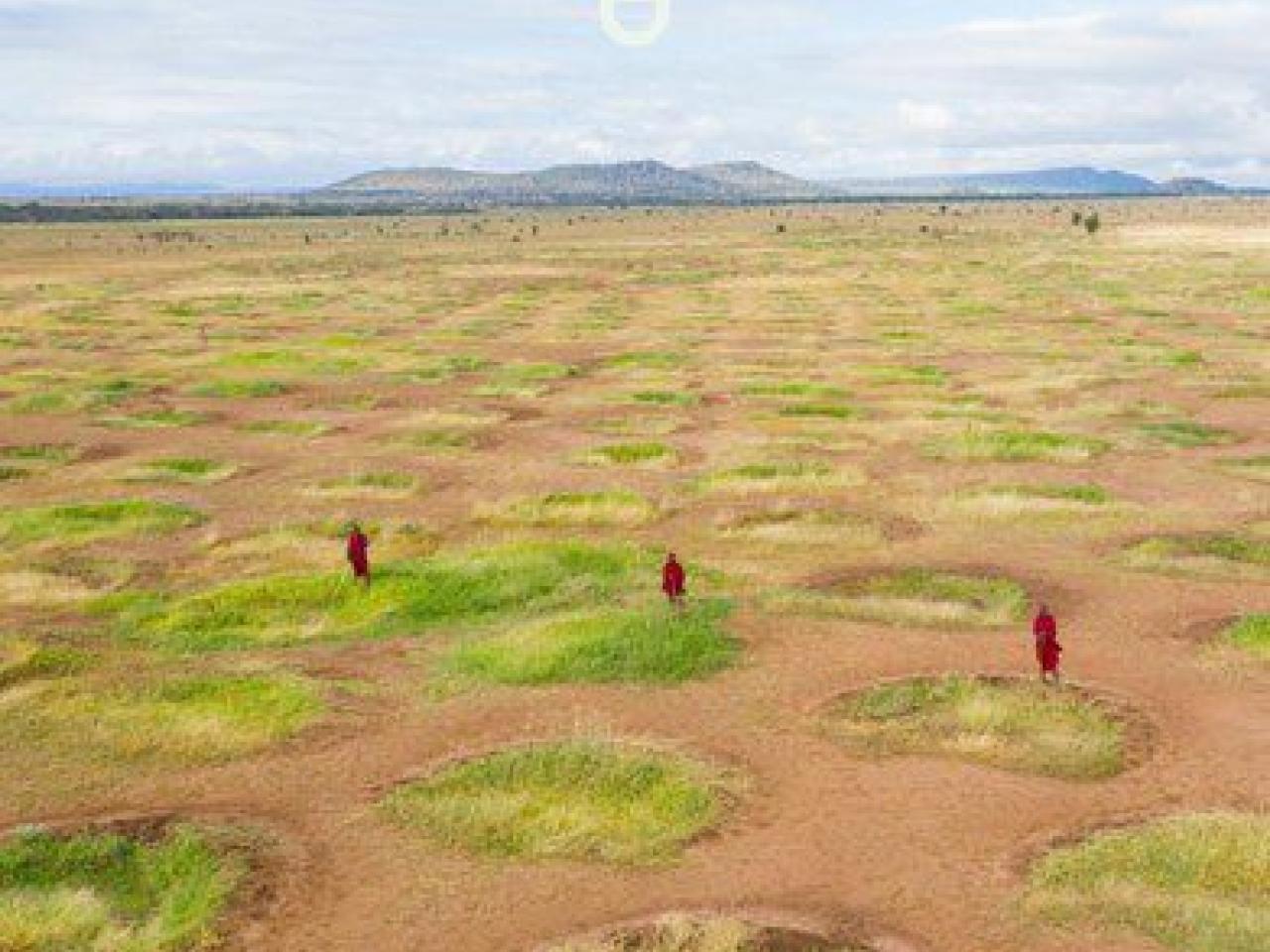 Painting of three figures in red, in an open field