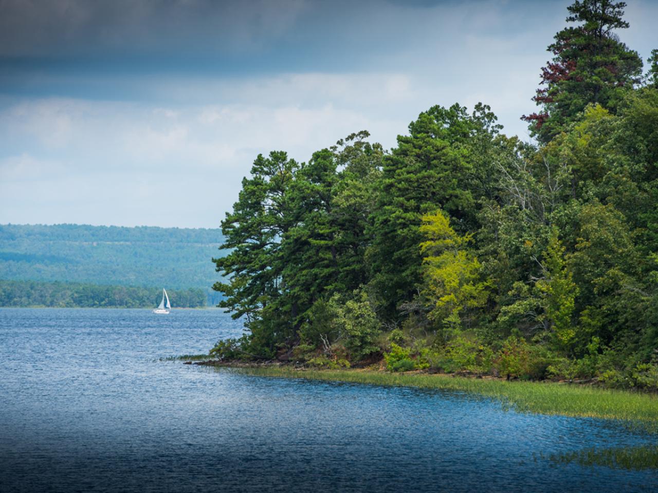 A calm body of water next to trees