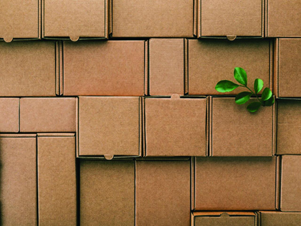 Brown boxes in a stack with a green plant sprig