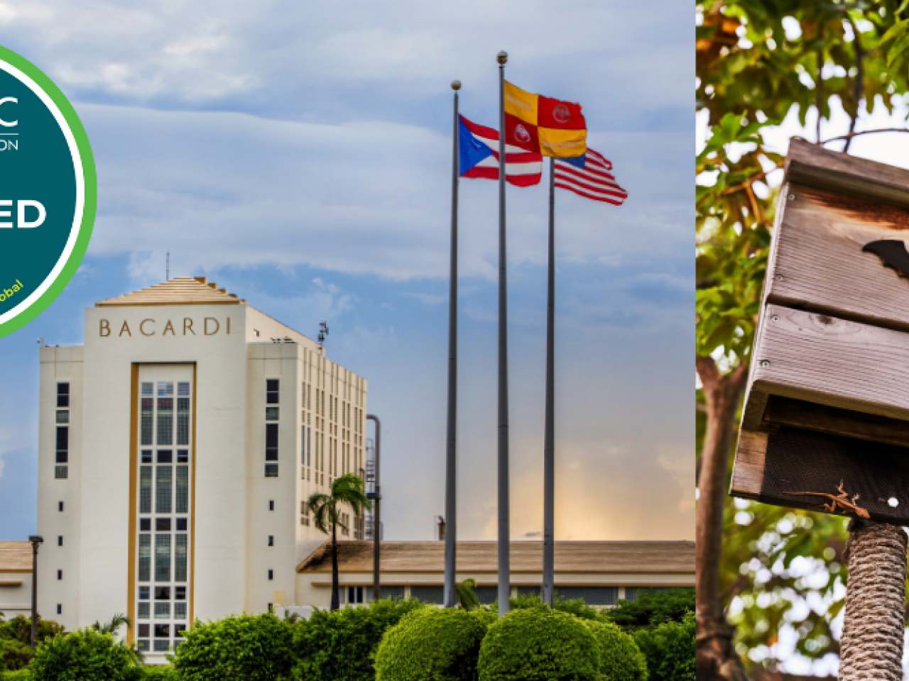 Collage of Bacardi building and a bat house, with "WHC CERTIFIED" logo