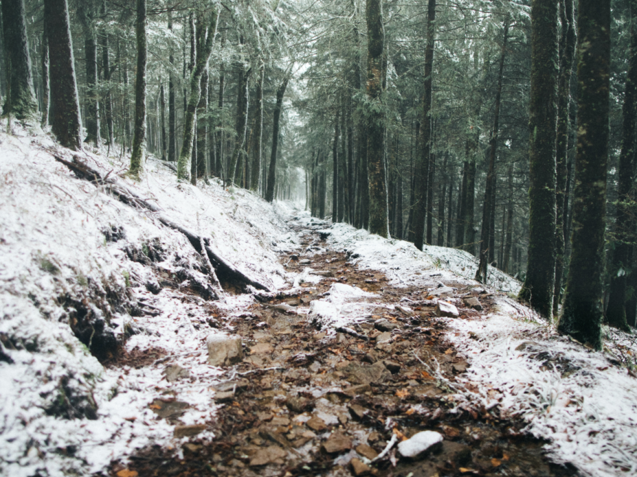 Great Smoky Mountains