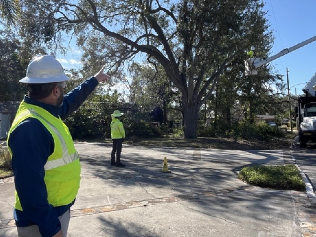 A person in a high vis vest and hardhat pointing to a tree being trimmed by someone in a cherrypicker, while someone else looks on