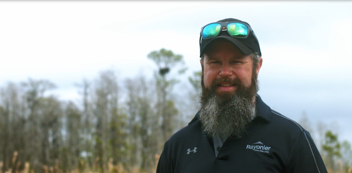 A Rayonier employee looks at the camera, an eagle's nest far in the distance.