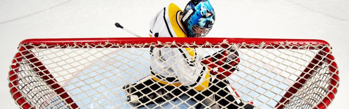 Hockey player by net