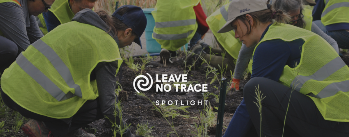 People wearing hi-vis vests planting plants