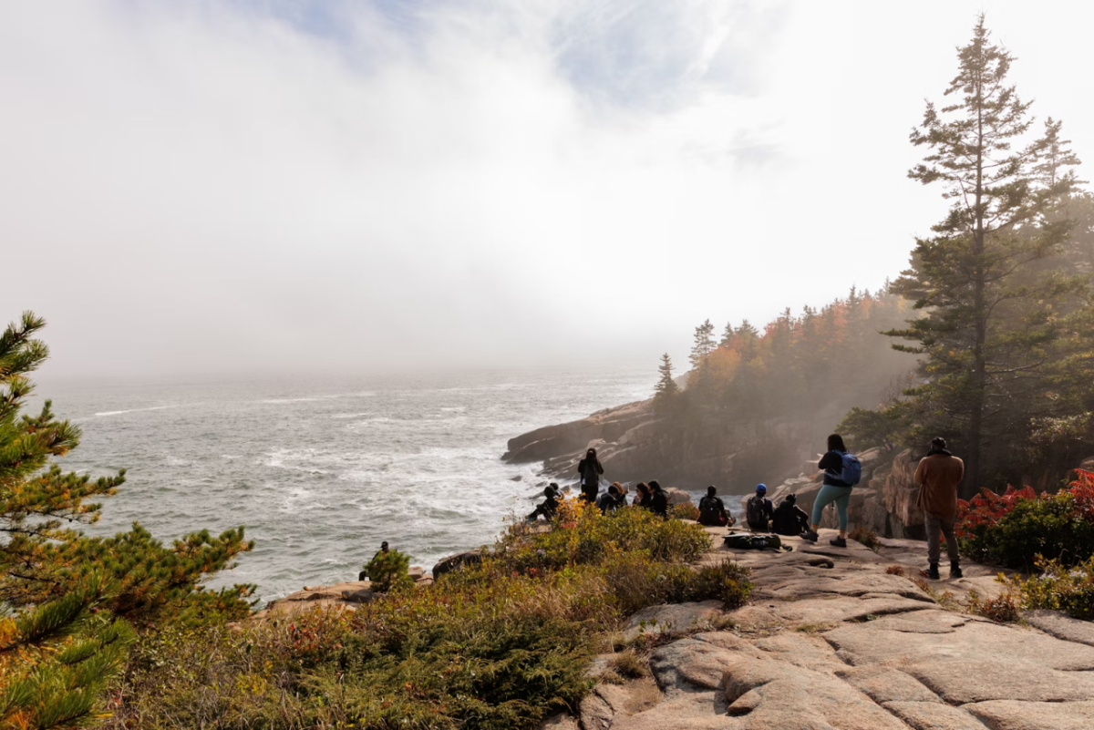 People standing and sitting on a rock next to water and trees