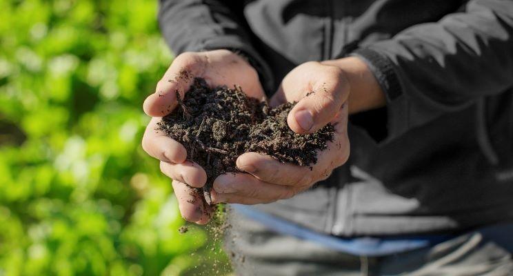 hands holding soil