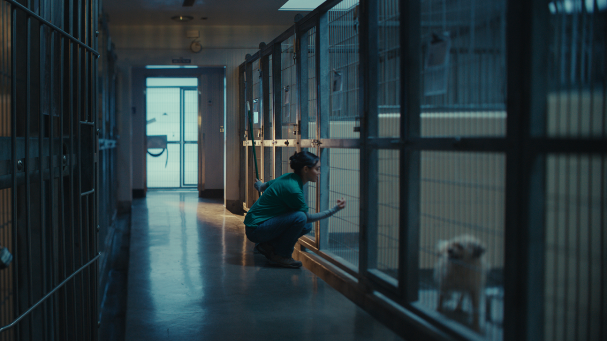 Person kneeling next to a dog kennel