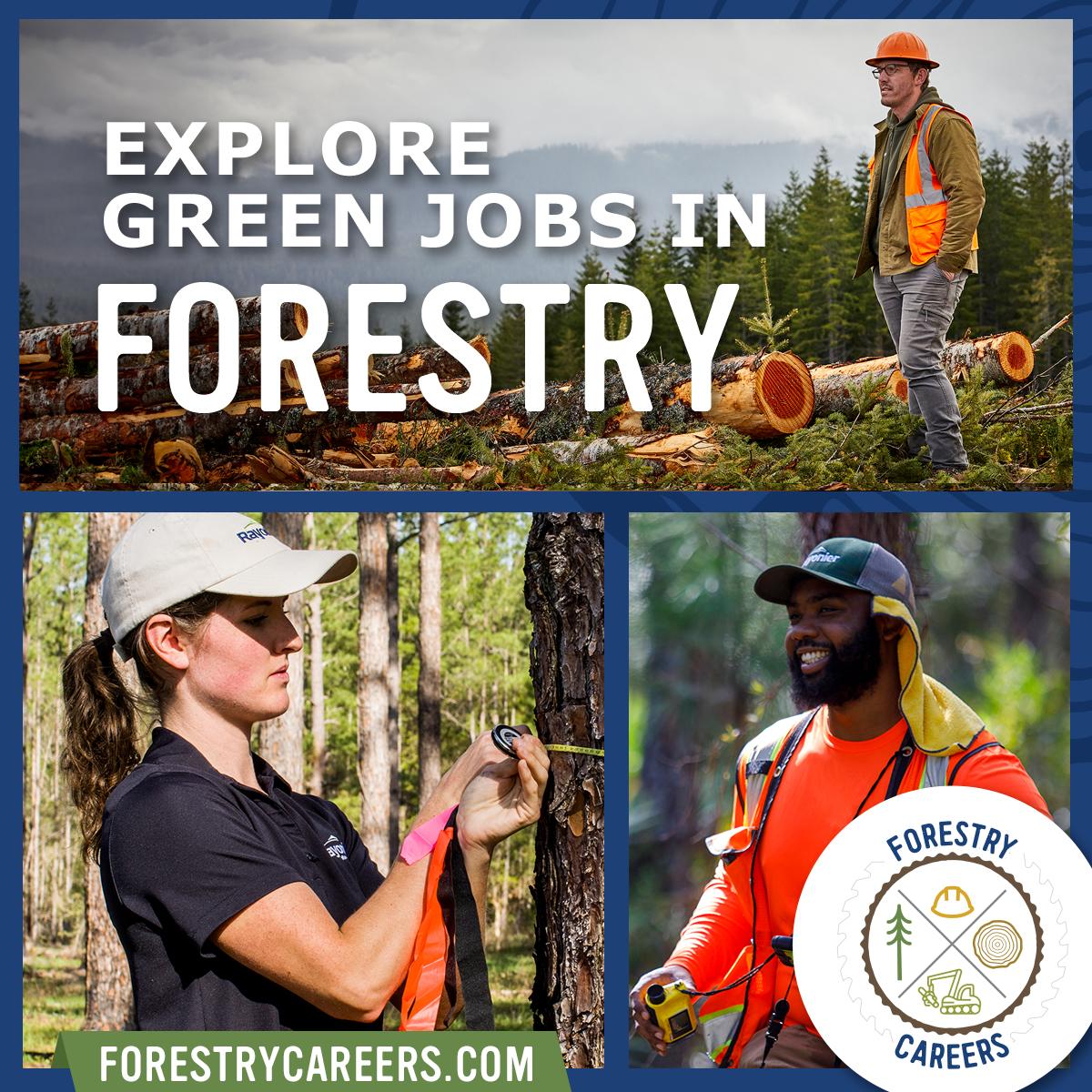 A collage of people working outside, with text: Explore Green Jobs in FORESTRY