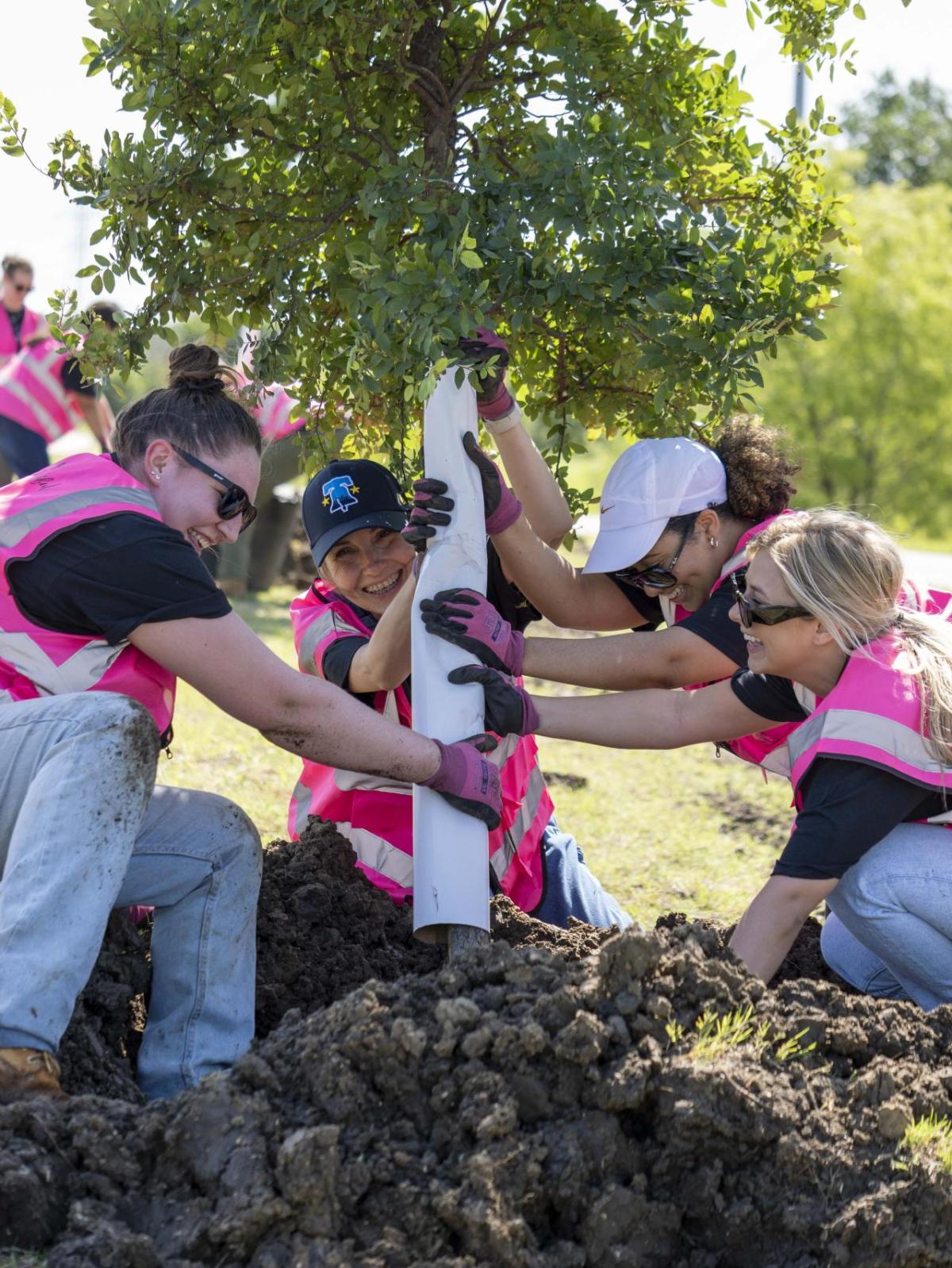 People planting a tree