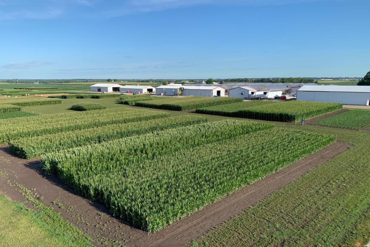 Farm and crops.