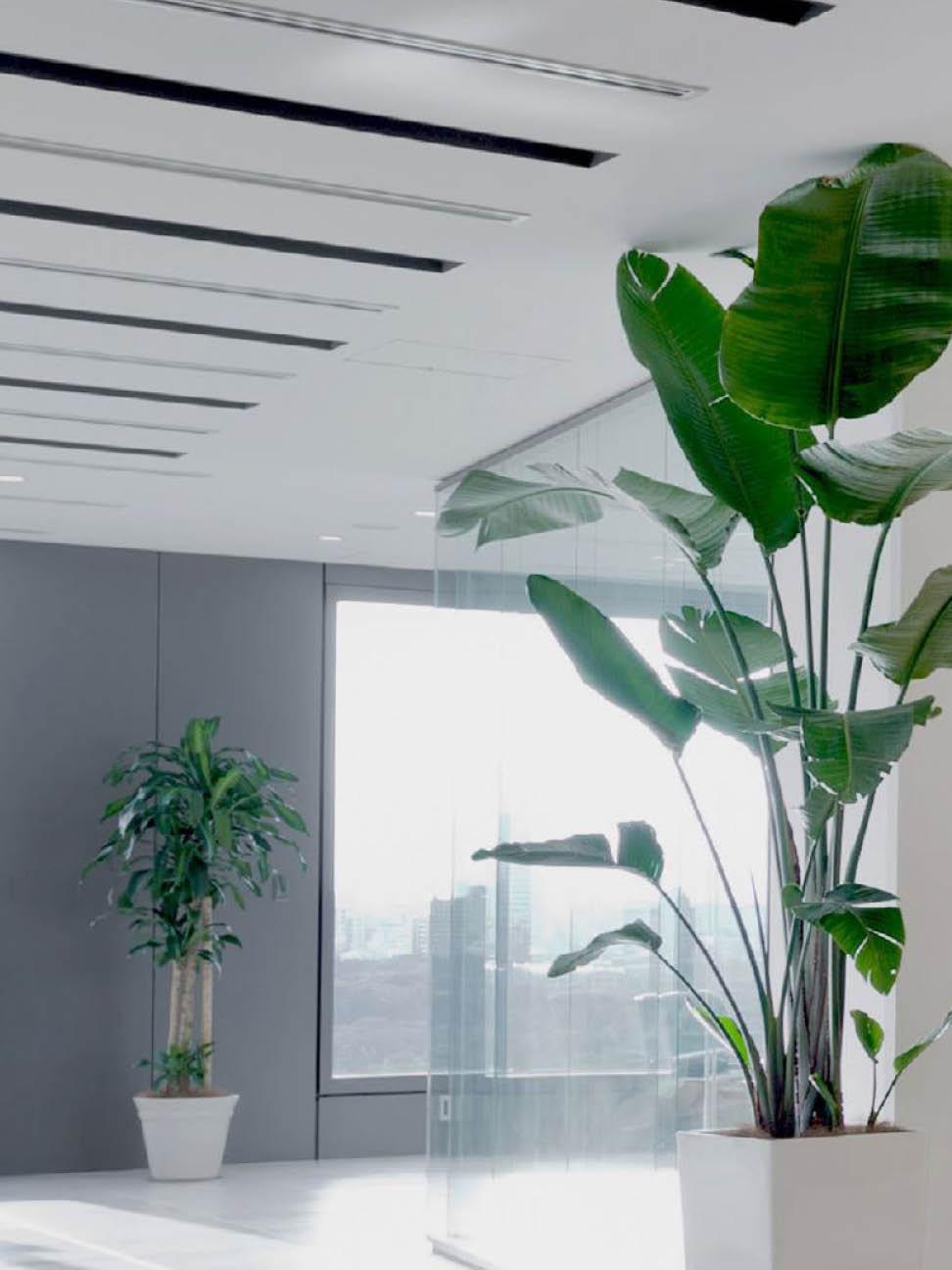 plants in an office