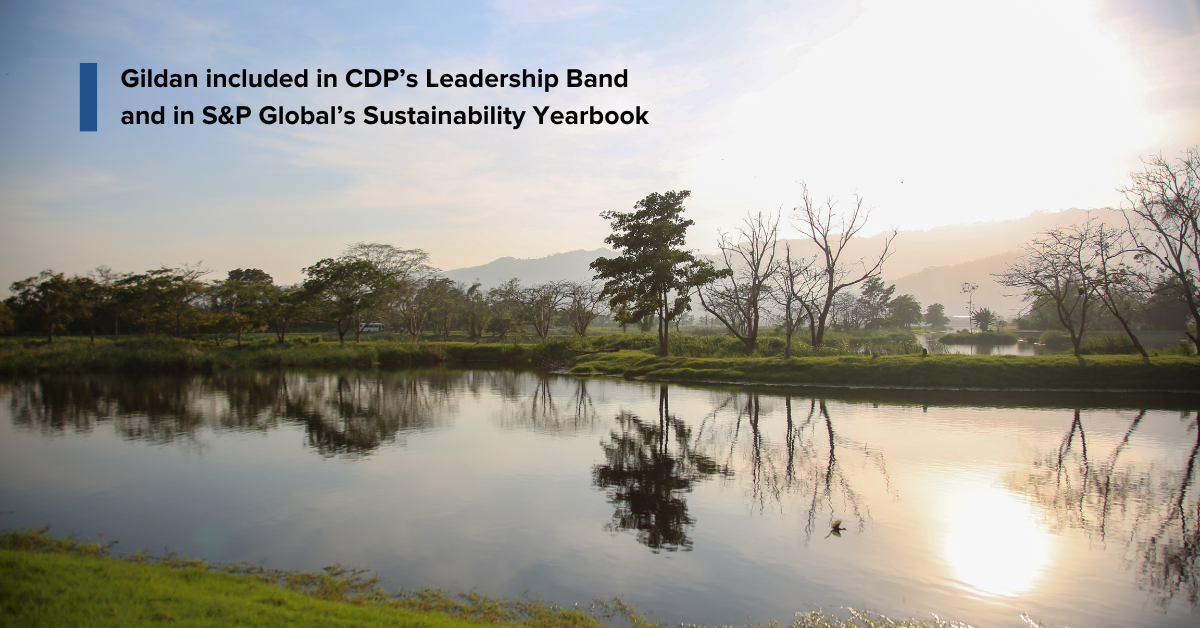 "Gildan Included in CDP’s Leadership Band and in S&P Global’s Sustainability Yearbook" text against a nature backdrop