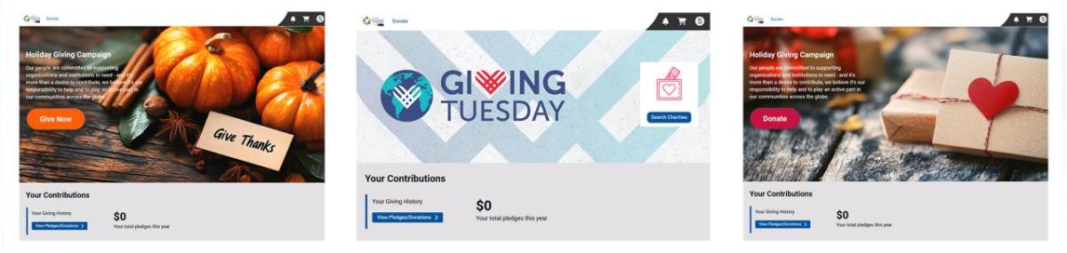 Launch a 2025 Holiday Giving Donation Campaign