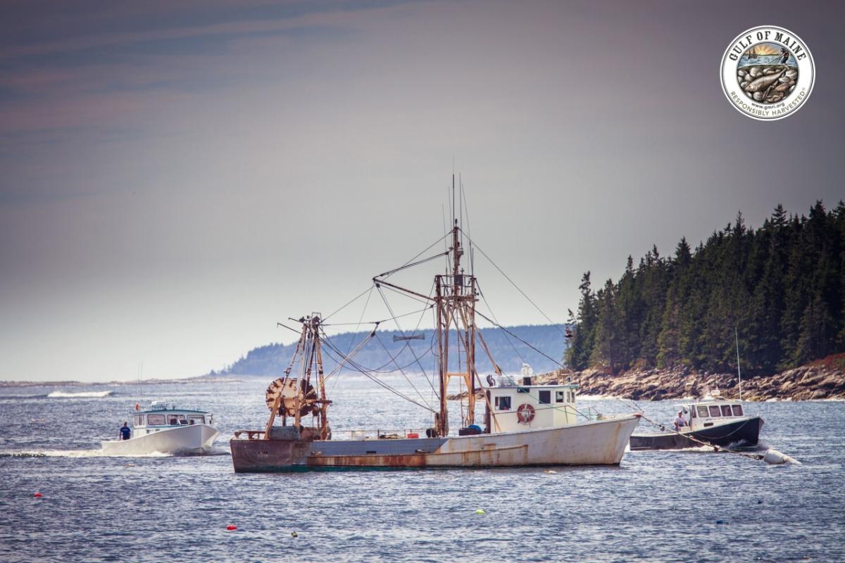 Fishing ship at sea