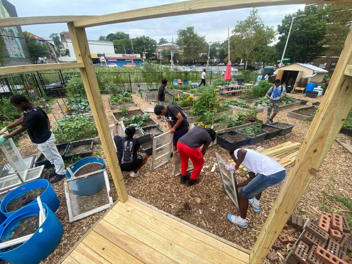 People working in a garden