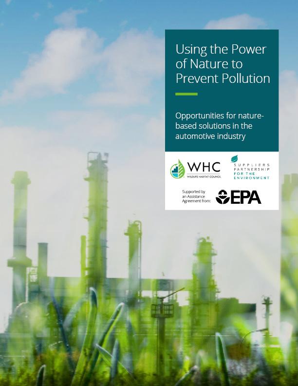 Cover of Pollution Prevention Report with picture of factory hidden behind blades of grass.