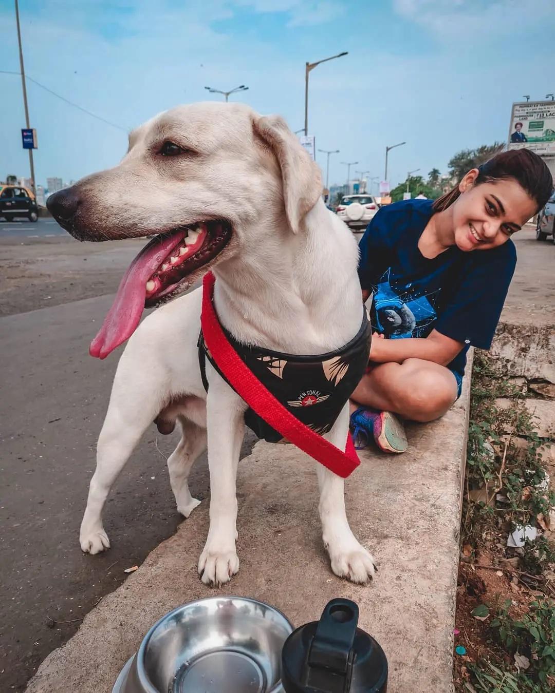 Vishakha Fulsunge sitting next to her yellow lab, Shadow