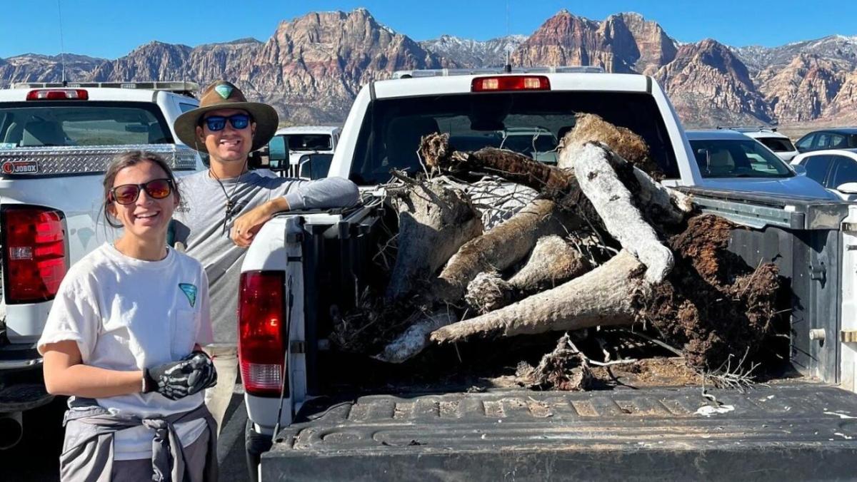 Two people stood near the trunk of a car