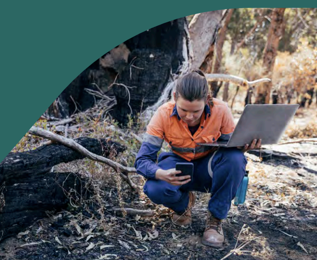 A person knelt down in a foresting whilst holding a laptop and mobile device  