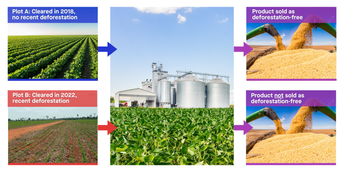 Figure on Sub-farm compliance assessment presents the risk that products may be called deforestation-free even if they are produced on farms with ongoing deforestation or recent deforestation after a cutoff date, such as 2020. This includes the typical case (shown here) where products from different farm plots are mixed and sold in aggregate to commodity buyers.