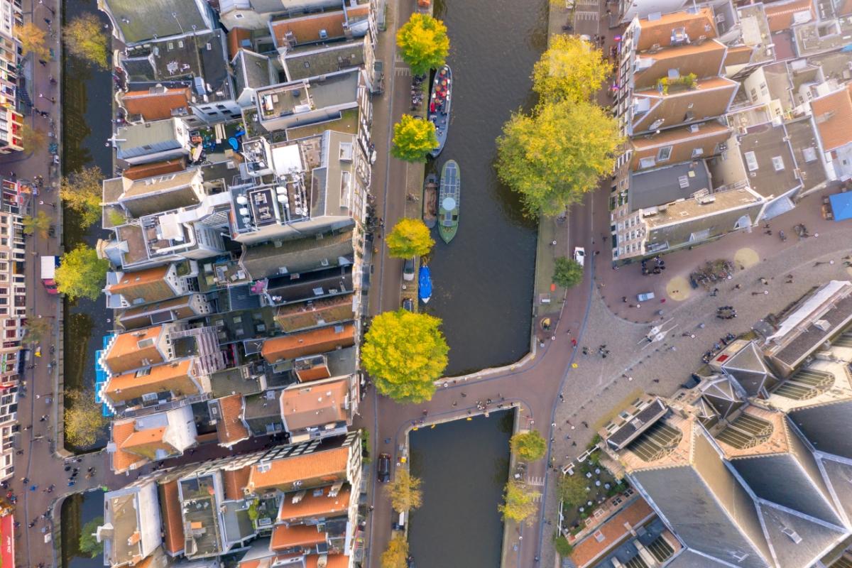 Aerial View of a city