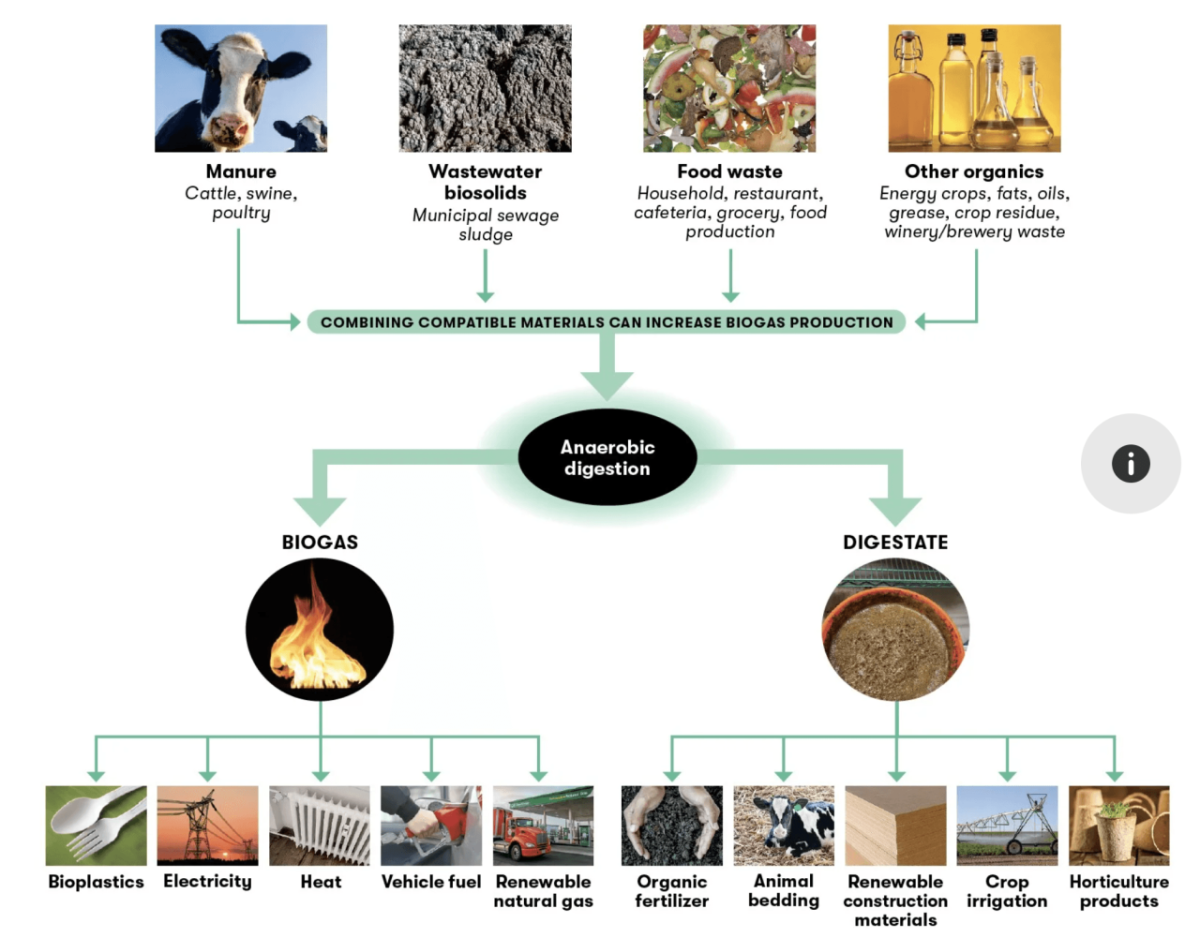 Anaerobic digestion infographic