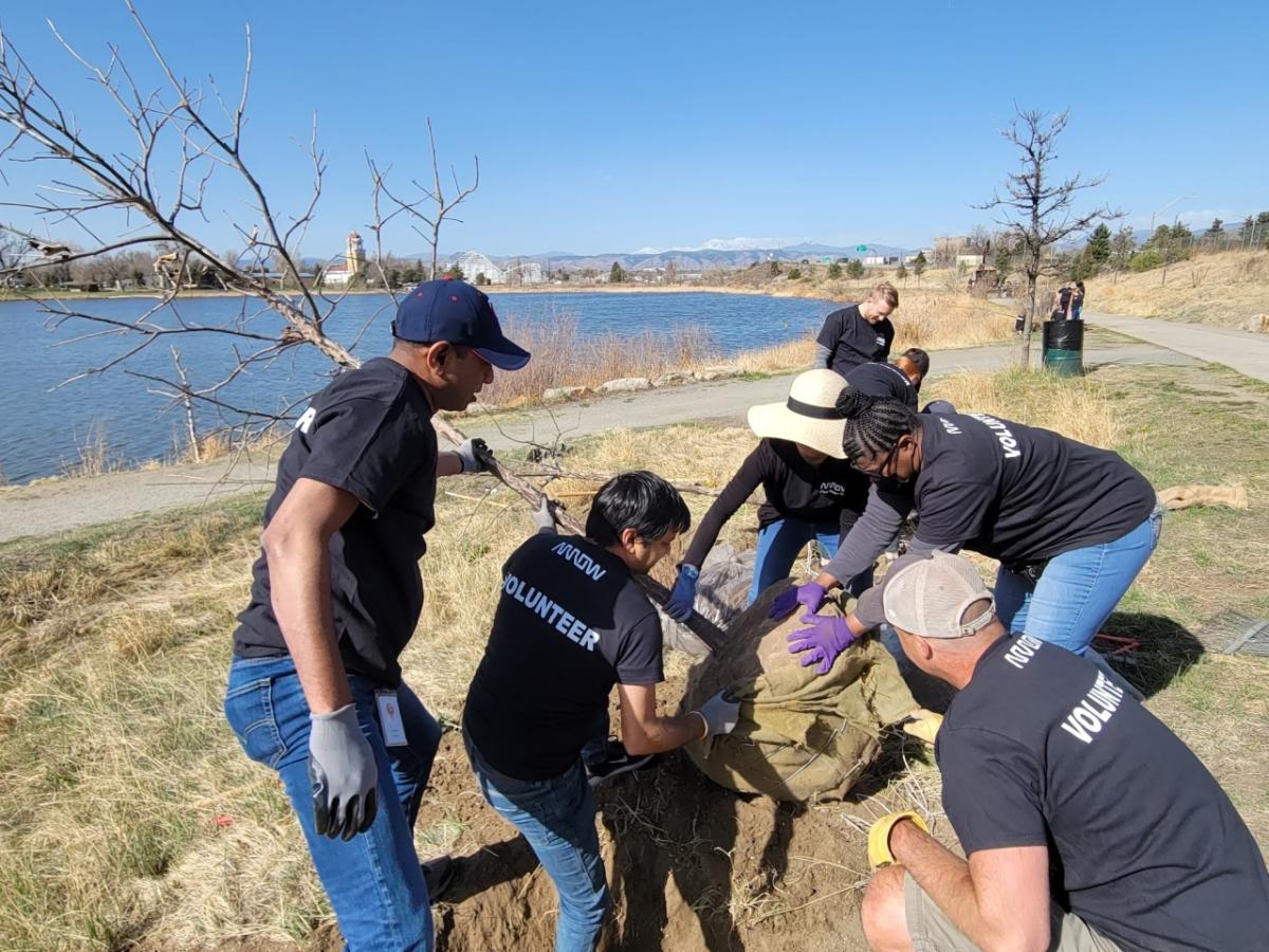 Arrow employees working together while planting trees on Earth Day 