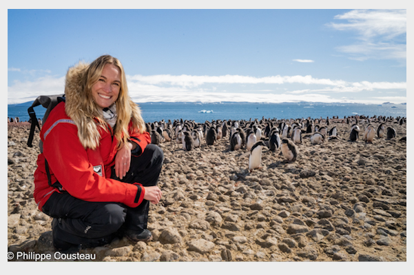 Ashlan at Paulette Island Adelie Penguin Rookery