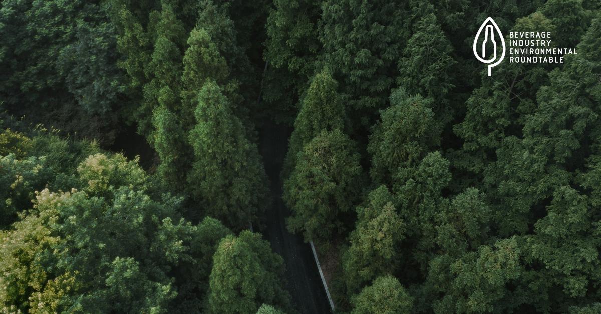 road through the forest
