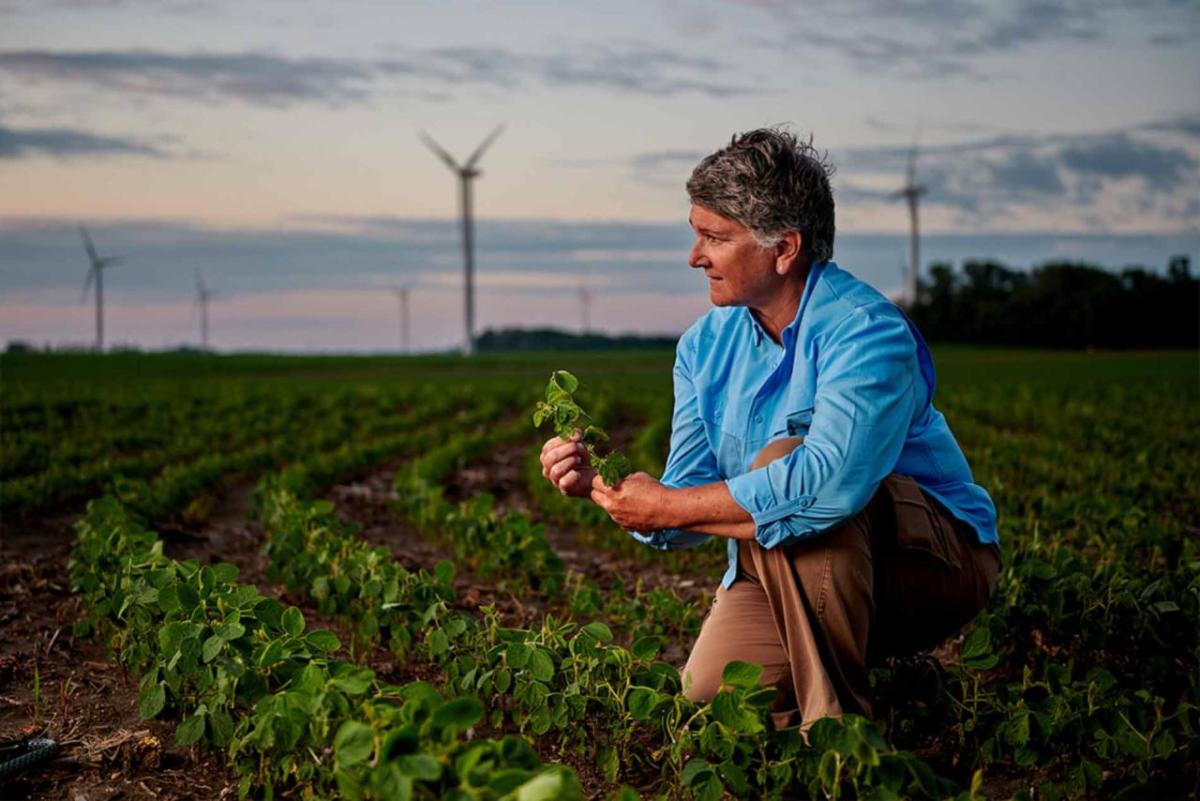 Man kneeling in soybean field.