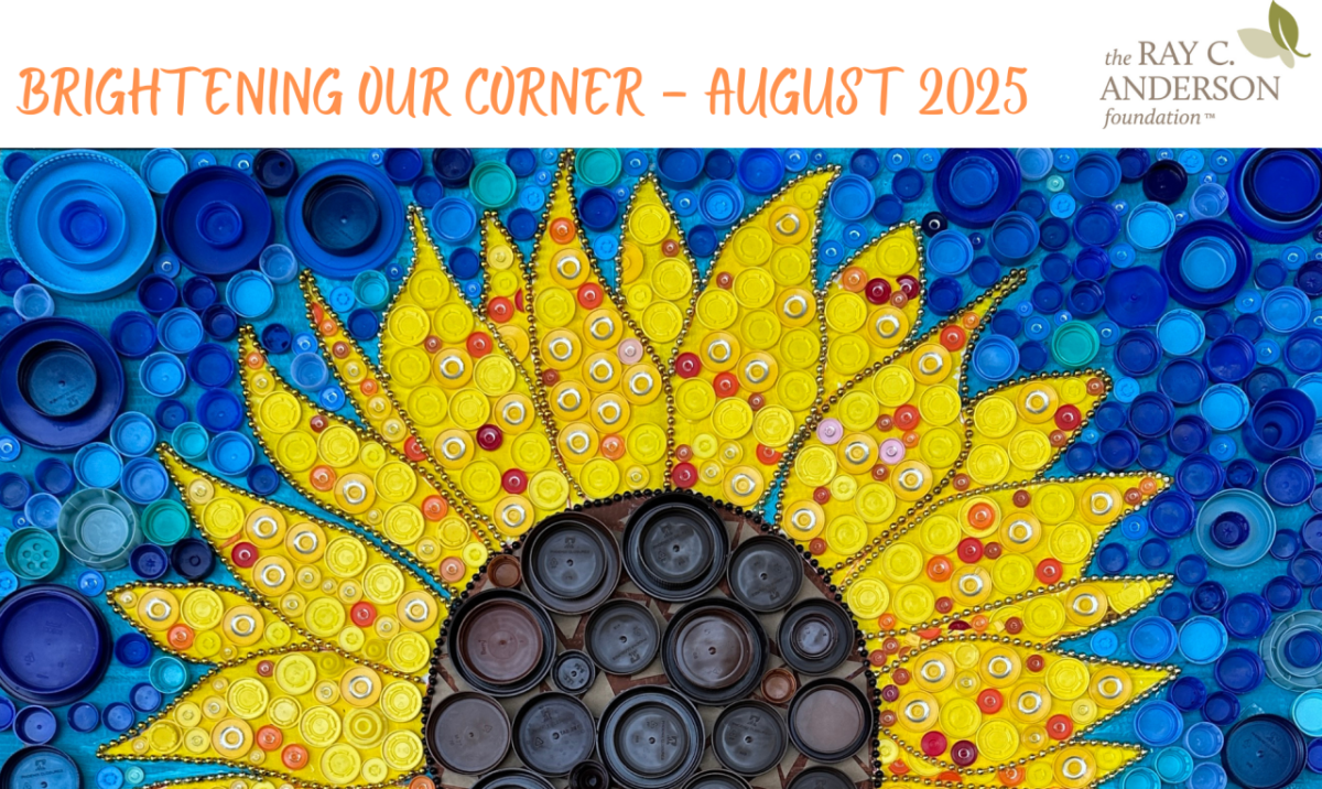 Artwork by www.nomoreliddering.org a sunflower