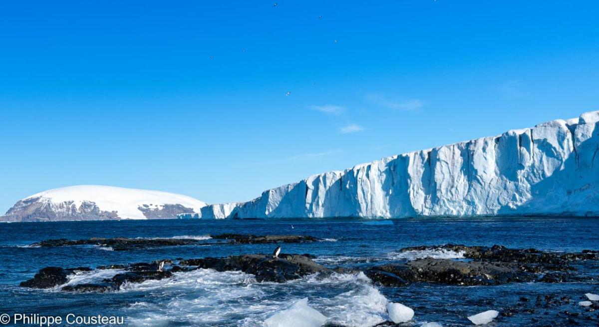 Brown Bluff Glacier with Penguins