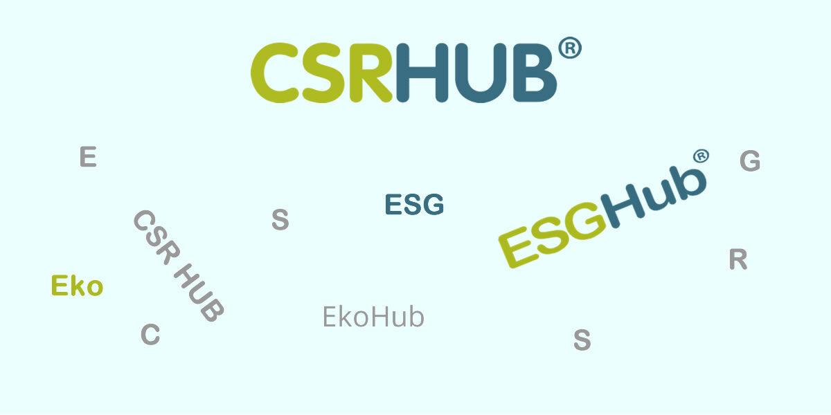 Visual representation of the naming process for CSRHub and ESG Hub