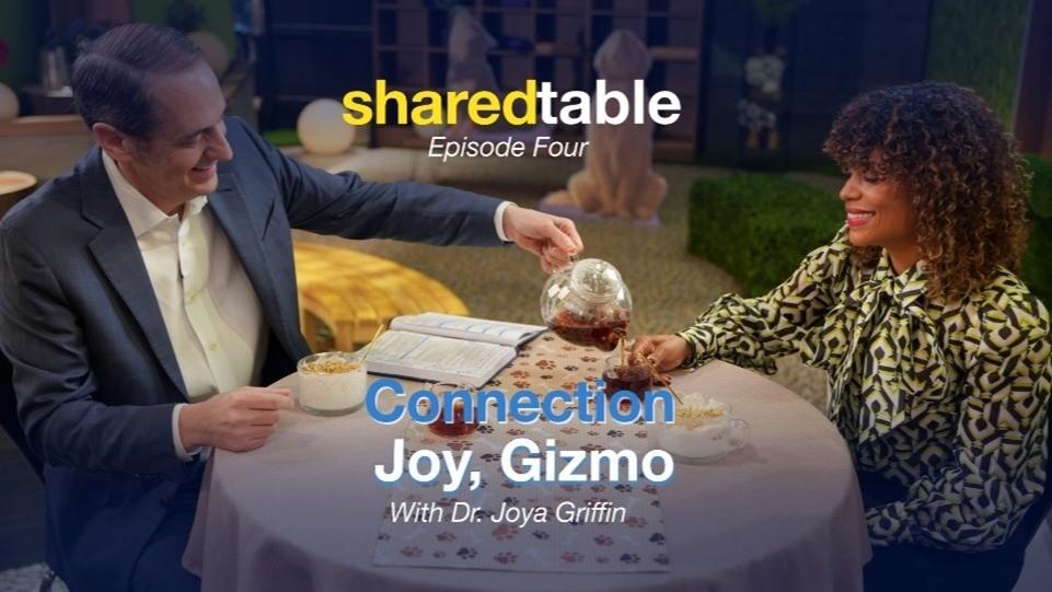 sharedtable, Episode Four, Connection, Joy, Gizmo, With Dr. Joy Griffin