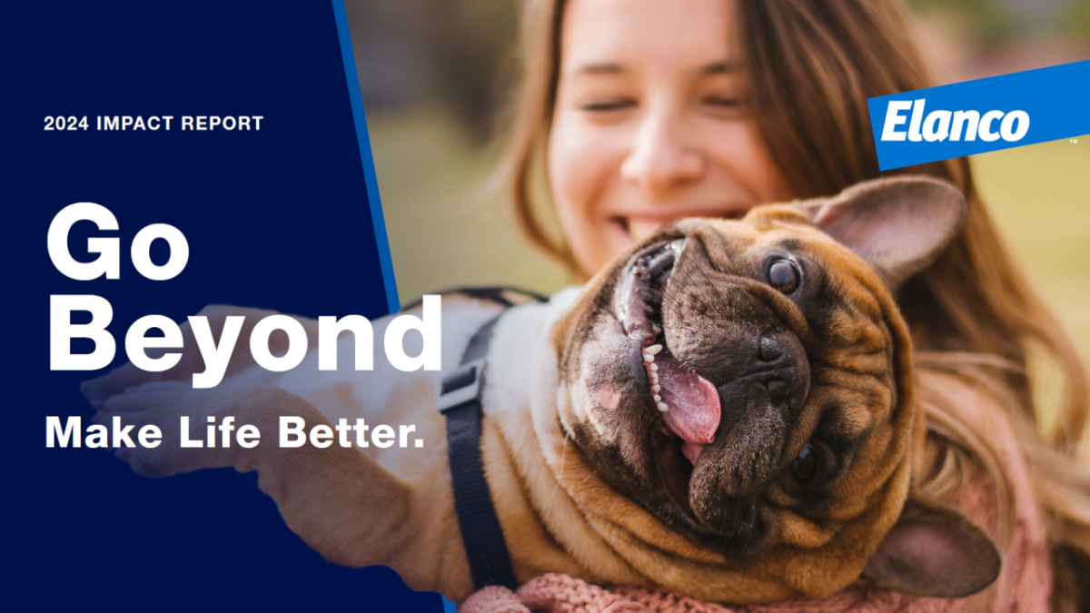 Report cover with woman holding a dog