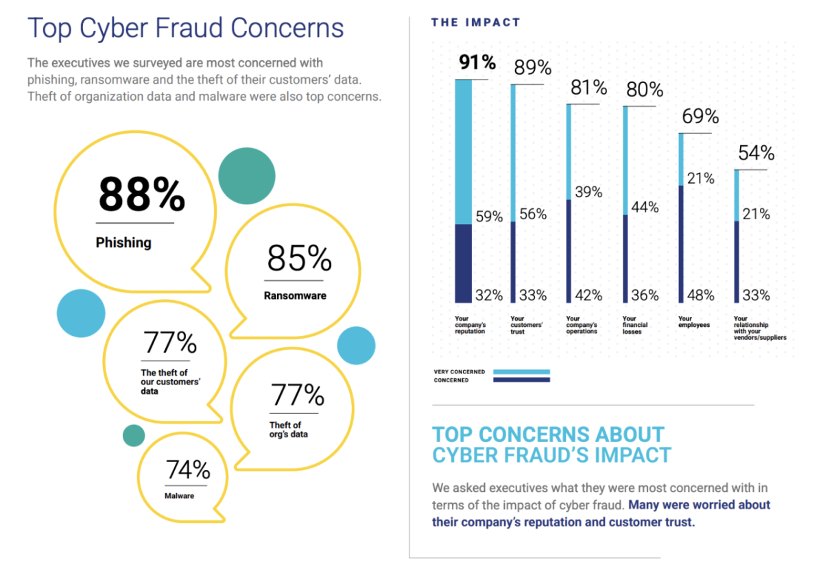 Top Cyber Fraud Concerns.