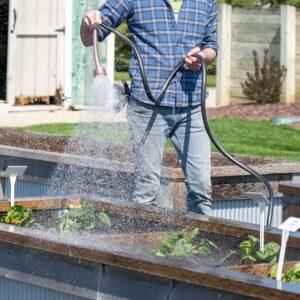 A person watering plants with a hose 