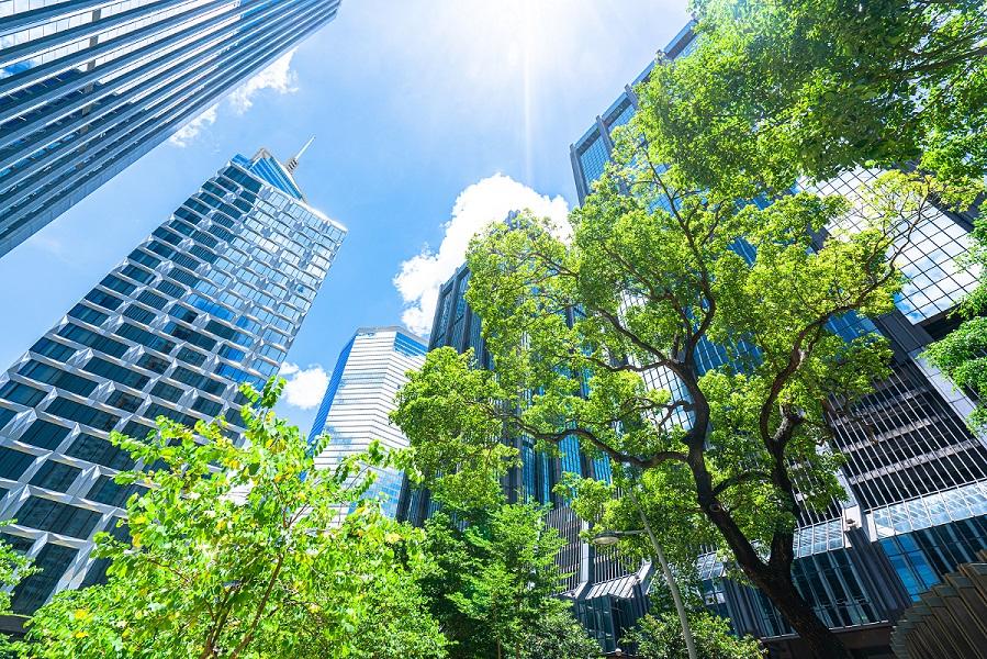 tall buildings and trees, seen from below